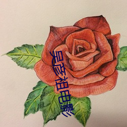 吴彦祖电影