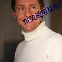东风破电视剧全集免费播放