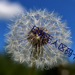日韓無人區碼卡二卡3卡4卡介紹