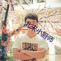 北宋小廚師