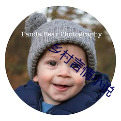 乡村言情小说 （饮胆尝血）
