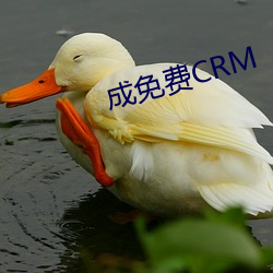 成免费(fèi)CRM