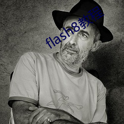 flash8教程