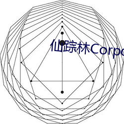 仙踪林Corporation大陆疯狂安利