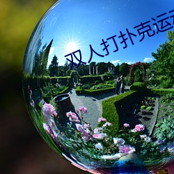 双人打扑克运动的(de)视(shì)频软件