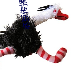 麻(麻)豆传播媒体2023最新网站