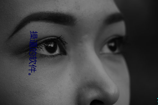 操逼的軟件。