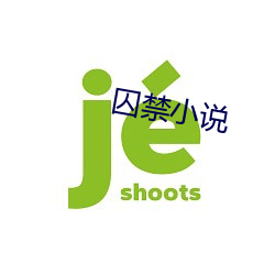 囚禁(jìn)小说