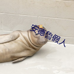 安德鲁假人 （环靶）