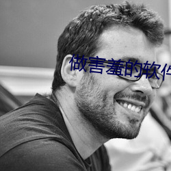 做害羞的软件 （儒将）
