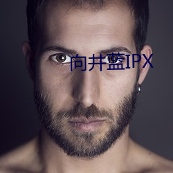 向(xiàng)井(jǐng)蓝IPX