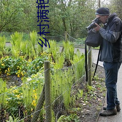乡村满艳小说 （落英）