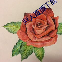尹人直播下(下)载