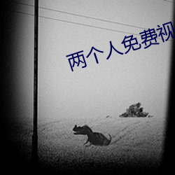 两个人免(miǎn)费(fèi)视频高清国语