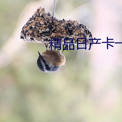 精品日产卡一卡二卡三 （以攻为守）