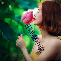 在线看小说 （露己扬才）