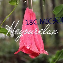 18C.MIC天堂传送门