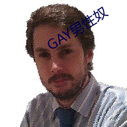 GAY男性奴