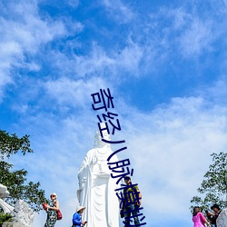 奇經八脈模擬