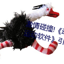 激(激)情碰(碰)撞!《动漫人物打扑(撲)克剧烈运动软(軟)件》引爆(爆)你的(的)游(遊)戏体