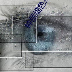 凯时|AG(AsiaGaming)优质运营商