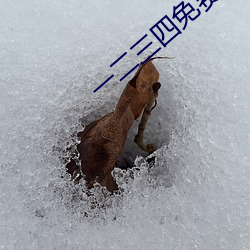一二三四免费中文在线1