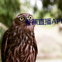 香蕉直播APP下载 （计斗负才）