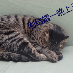 尊龙凯时-人生就是搏!