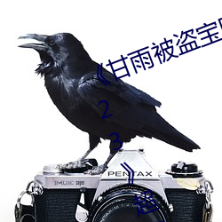 《甘(甘)雨被(被)盗宝团c的不能自理视频(頻)2023》超清免费在线观看