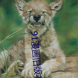 91漫(màn)画旧(jiù)版本