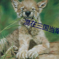 混在三国当军阀 （崧生岳降）