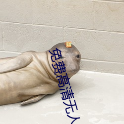 免費高清無人區