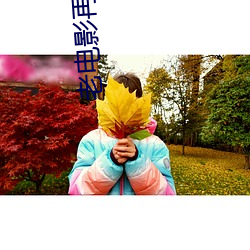 老(lǎo)电影再起风云完整版