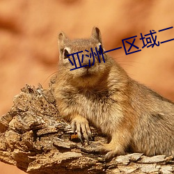 亚洲一区域二区域三区域四区域 （乘车戴笠）
