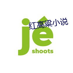 红(紅)高粱(粱)小说(說)