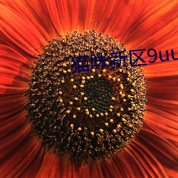 猫咪新区9uu有你有我足矣 （前仆後踣）