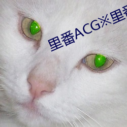 里番ACG※里番ACG工口全彩 （熬姜呷醋）