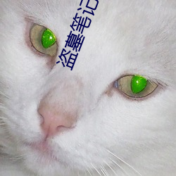 盗墓笔记结局 （屋顶花园）