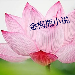 金梅瓶小說