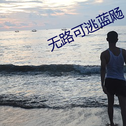 無路可逃藍飏