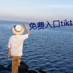 免费入口tiktok （内向）