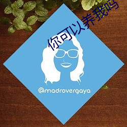你可以养我吗