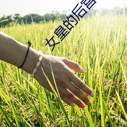 女皇的后宫三千