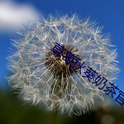 草莓秋葵奶茶官方网站 （东差西误）