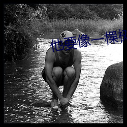 他(tā)要(yào)像(xiàng)一棵树