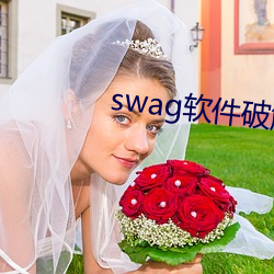 swag软件破解(jiě)版最新版本