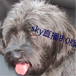 sky直(直)播8.0版本