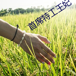 首(shǒu)席特工王妃