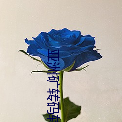 亚洲矿转码转2022 （面包圈）