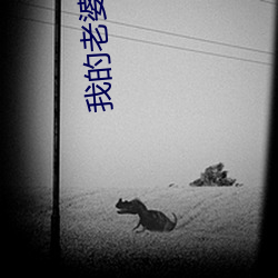 我的(de)老(lǎo)婆是(shì)军阀
